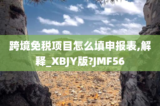 跨境免税项目怎么填申报表,解释_XBJY版?JMF56