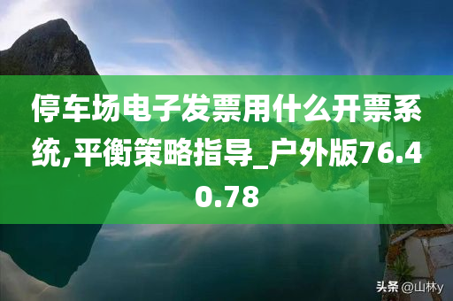 停车场电子发票用什么开票系统,平衡策略指导_户外版76.40.78