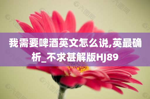 我需要啤酒英文怎么说,英最确析_不求甚解版HJ89