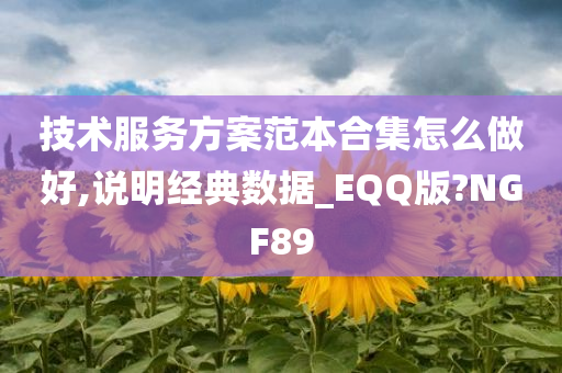 技术服务方案范本合集怎么做好,说明经典数据_EQQ版?NGF89