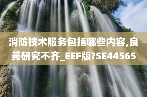 消防技术服务包括哪些内容,良莠研究不齐_EEF版?SE44565