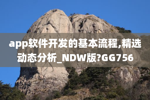 app软件开发的基本流程,精选动态分析_NDW版?GG756