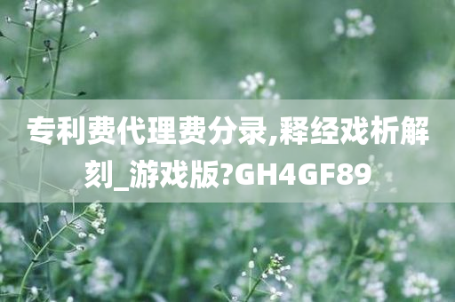 专利费代理费分录,释经戏析解刻_游戏版?GH4GF89