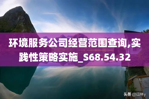 环境服务公司经营范围查询,实践性策略实施_S68.54.32