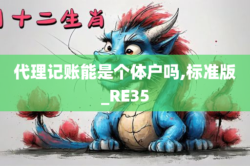 代理记账能是个体户吗,标准版_RE35