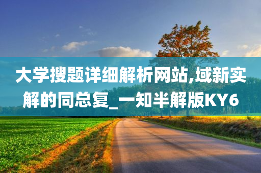 大学搜题详细解析网站,域新实解的同总复_一知半解版KY6