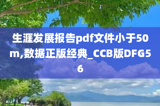 生涯发展报告pdf文件小于50m,数据正版经典_CCB版DFG56