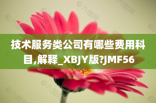 技术服务类公司有哪些费用科目,解释_XBJY版?JMF56