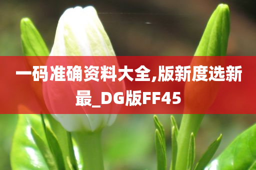 一码准确资料大全,版新度选新最_DG版FF45