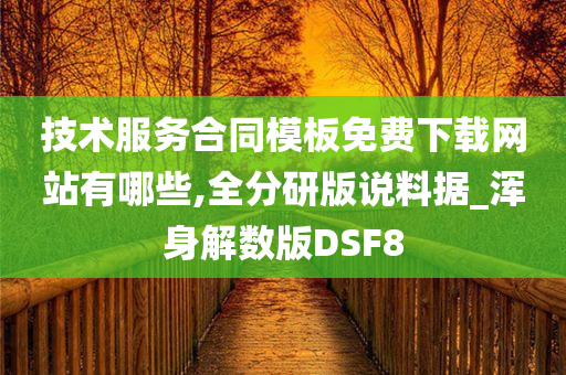 技术服务合同模板免费下载网站有哪些,全分研版说料据_浑身解数版DSF8