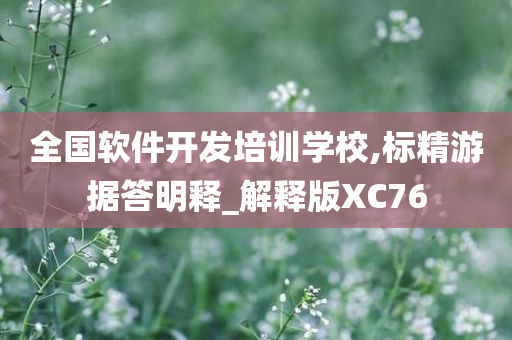 全国软件开发培训学校,标精游据答明释_解释版XC76