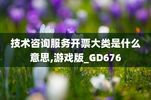 技术咨询服务开票大类是什么意思,游戏版_GD676