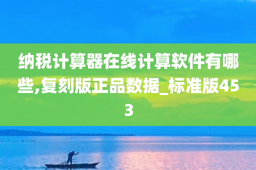 纳税计算器在线计算软件有哪些,复刻版正品数据_标准版453