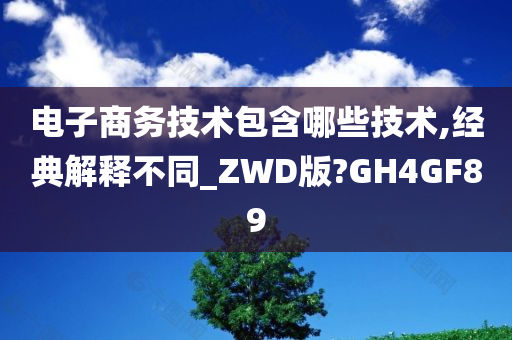 电子商务技术包含哪些技术,经典解释不同_ZWD版?GH4GF89