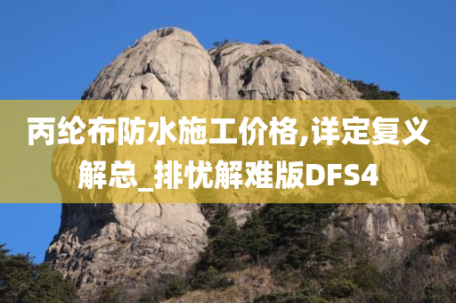 丙纶布防水施工价格,详定复义解总_排忧解难版DFS4