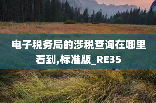 电子税务局的涉税查询在哪里看到,标准版_RE35