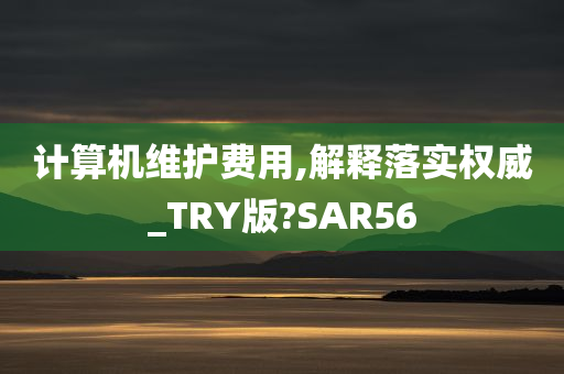 计算机维护费用,解释落实权威_TRY版?SAR56