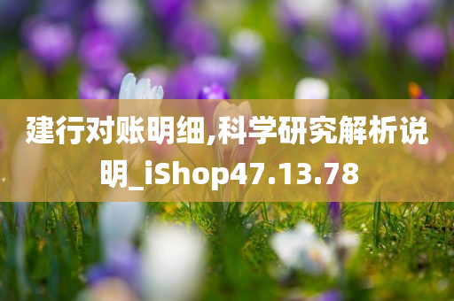 建行对账明细,科学研究解析说明_iShop47.13.78