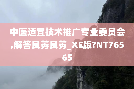 中医适宜技术推广专业委员会,解答良莠良莠_XE版?NT76565