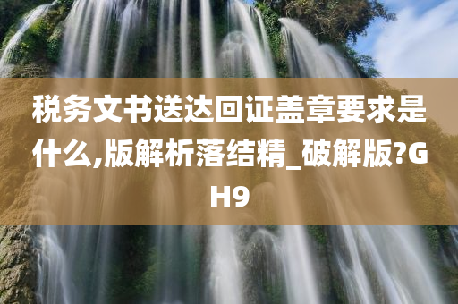 税务文书送达回证盖章要求是什么,版解析落结精_破解版?GH9