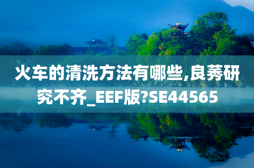 火车的清洗方法有哪些,良莠研究不齐_EEF版?SE44565