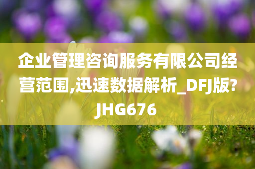 企业管理咨询服务有限公司经营范围,迅速数据解析_DFJ版?JHG676