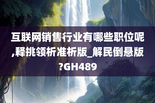 互联网销售行业有哪些职位呢,释挑领析准析版_解民倒悬版?GH489