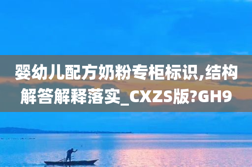 婴幼儿配方奶粉专柜标识,结构解答解释落实_CXZS版?GH9