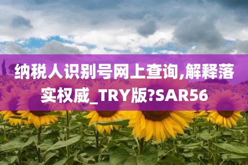 纳税人识别号网上查询,解释落实权威_TRY版?SAR56