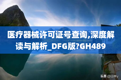 医疗器械许可证号查询,深度解读与解析_DFG版?GH489