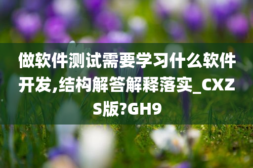 做软件测试需要学习什么软件开发,结构解答解释落实_CXZS版?GH9