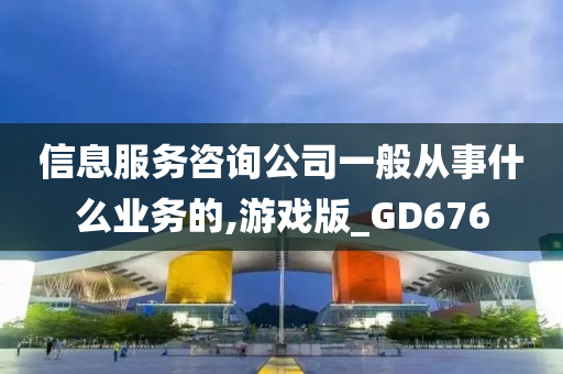 信息服务咨询公司一般从事什么业务的,游戏版_GD676