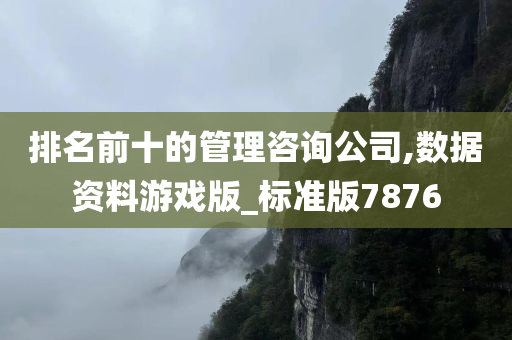 排名前十的管理咨询公司,数据资料游戏版_标准版7876