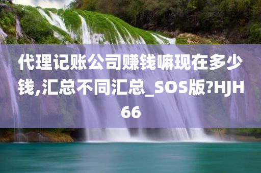 代理记账公司赚钱嘛现在多少钱,汇总不同汇总_SOS版?HJH66