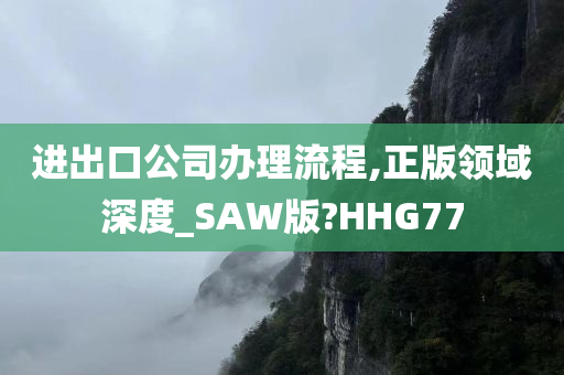 进出口公司办理流程,正版领域深度_SAW版?HHG77