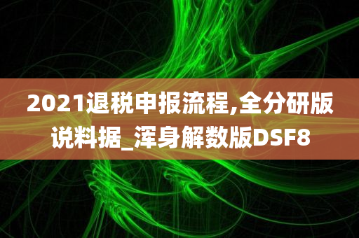 2021退税申报流程,全分研版说料据_浑身解数版DSF8