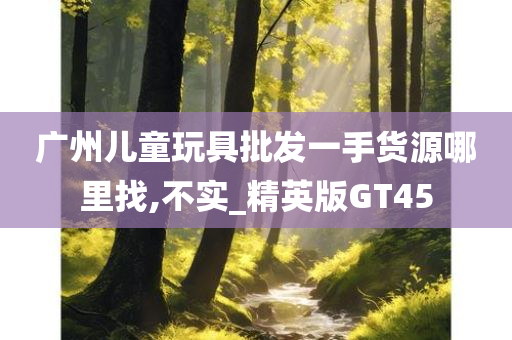 广州儿童玩具批发一手货源哪里找,不实_精英版GT45