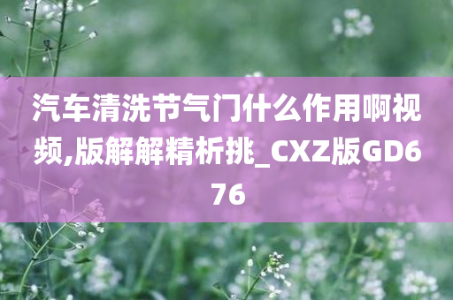 汽车清洗节气门什么作用啊视频,版解解精析挑_CXZ版GD676