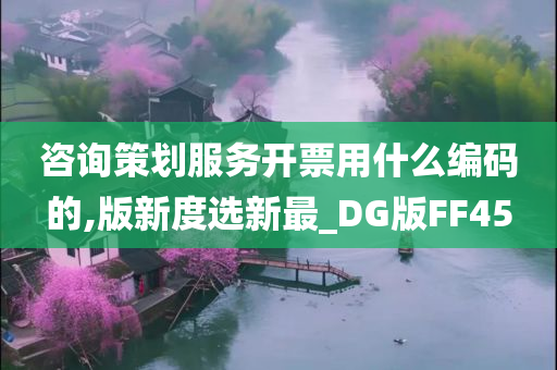 咨询策划服务开票用什么编码的,版新度选新最_DG版FF45