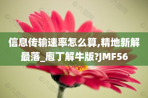 信息传输速率怎么算,精地新解最落_庖丁解牛版?JMF56