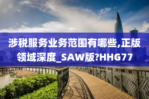 涉税服务业务范围有哪些,正版领域深度_SAW版?HHG77