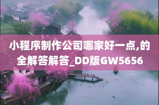 小程序制作公司哪家好一点,的全解答解答_DD版GW5656