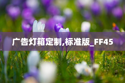 广告灯箱定制,标准版_FF45