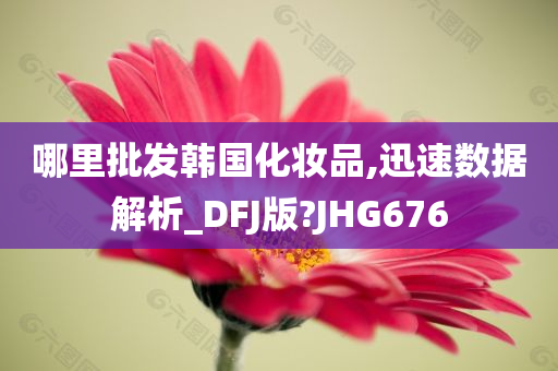 哪里批发韩国化妆品,迅速数据解析_DFJ版?JHG676