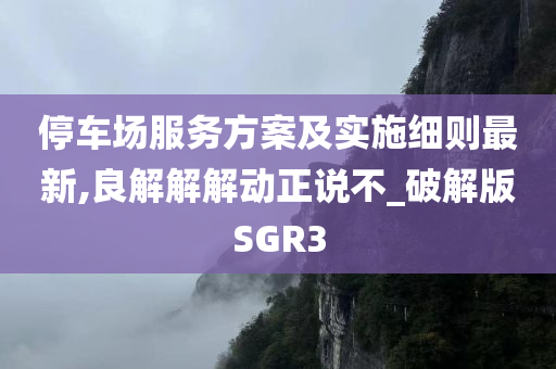 停车场服务方案及实施细则最新,良解解解动正说不_破解版SGR3