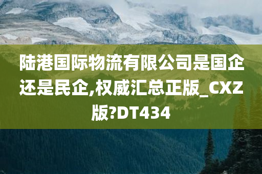 陆港国际物流有限公司是国企还是民企,权威汇总正版_CXZ版?DT434