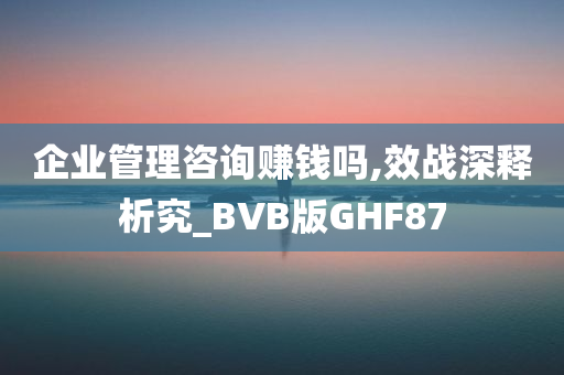 企业管理咨询赚钱吗,效战深释析究_BVB版GHF87