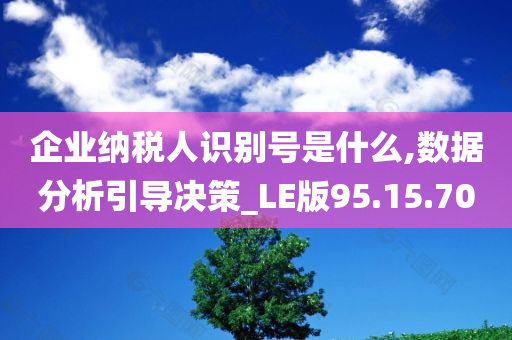 企业纳税人识别号是什么,数据分析引导决策_LE版95.15.70