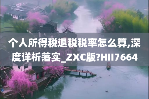 个人所得税退税税率怎么算,深度详析落实_ZXC版?HII7664