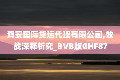 鸿安国际货运代理有限公司,效战深释析究_BVB版GHF87